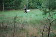 SommerCamp 2008: camp2_07