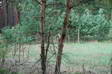 SommerCamp 2008: camp2_08