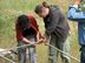 SommerCamp 2009: camp004