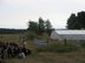Sommercamp 2009: camp061