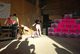 Sommercamp 2009: camp073