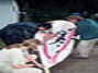 Sommeraktionstage 2002: 0217