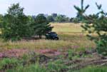 Sommeraktion 2010